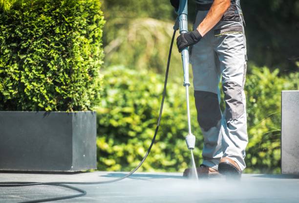 Best Patio and Deck Pressure Washing  in Fox Point, WI